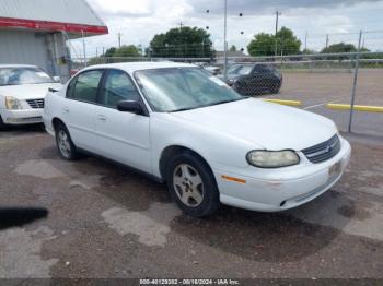  Salvage Chevrolet Classic