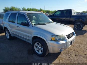  Salvage Ford Escape