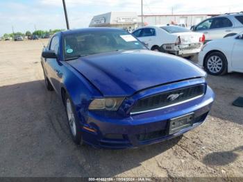  Salvage Ford Mustang