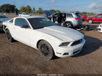  Salvage Ford Mustang