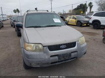  Salvage Ford Escape