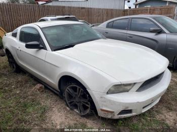  Salvage Ford Mustang