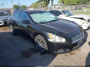  Salvage Nissan Maxima