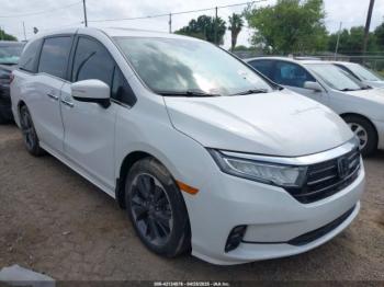  Salvage Honda Odyssey