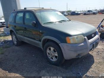  Salvage Ford Escape