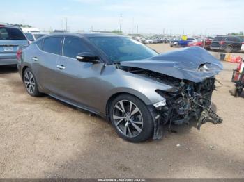  Salvage Nissan Maxima