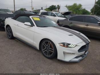  Salvage Ford Mustang