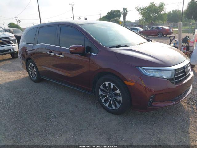  Salvage Honda Odyssey