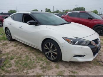  Salvage Nissan Maxima