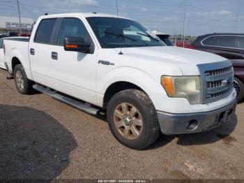 Salvage Ford F-150