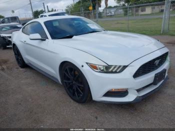  Salvage Ford Mustang