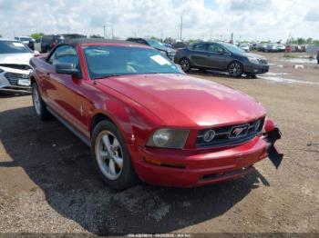  Salvage Ford Mustang