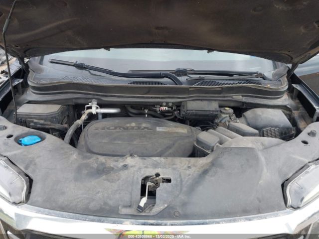 Honda Pilot Elite Image 14