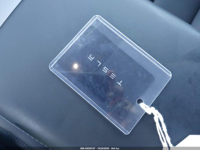 Tesla Model Y Image 16