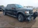 Ford F-150 Fx4 Image 1