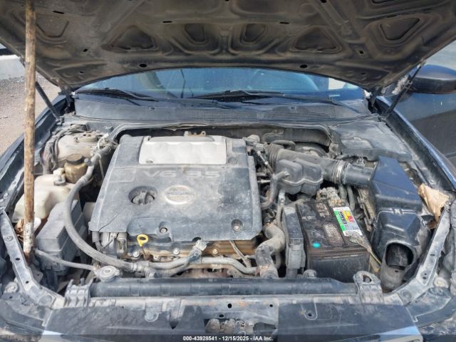 Nissan Maxima 3.5 Se Image 11