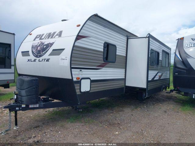 Palomino Puma Image 3