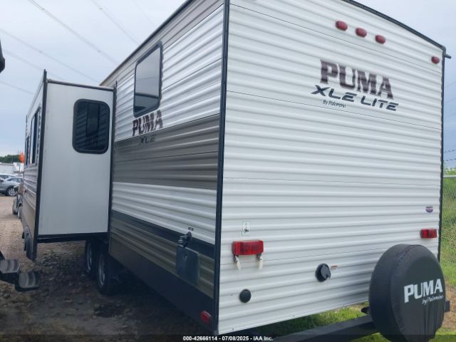 Palomino Puma Image 5