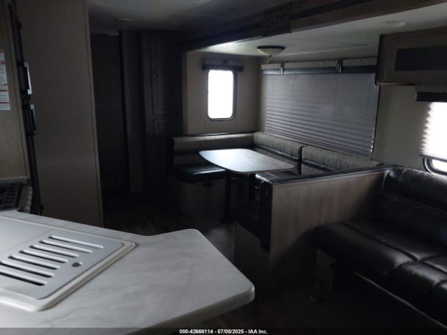 Palomino Puma Image 7