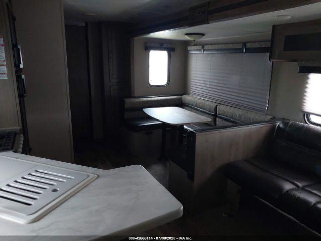 Palomino Puma Image 7