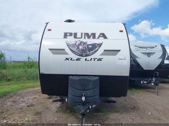 Palomino Puma Image 2