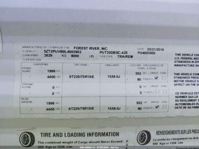 Palomino Puma Image 11