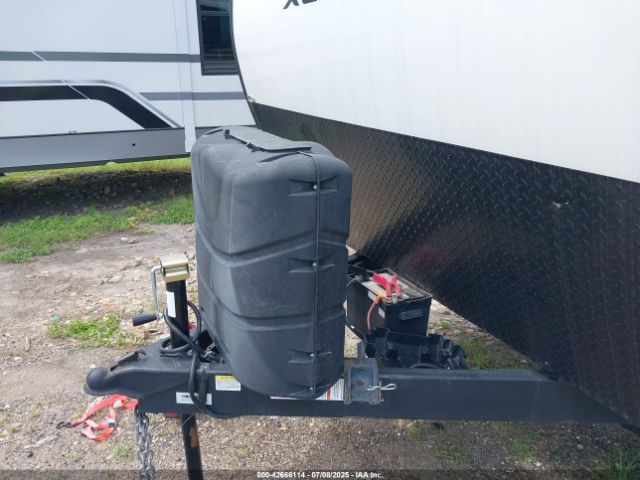 Palomino Puma Image 8