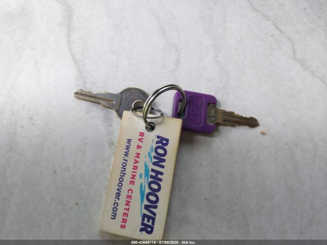 Palomino Puma Image 10