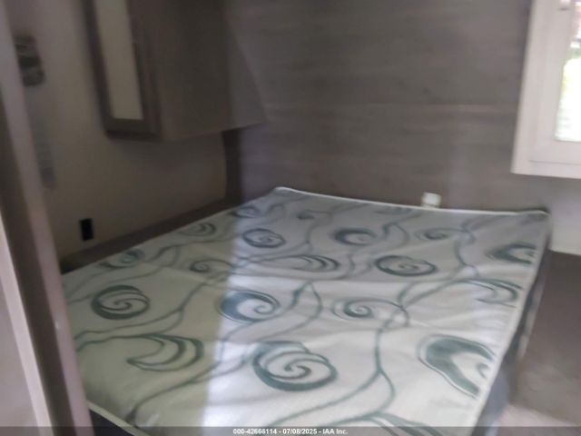 Palomino Puma Image 6