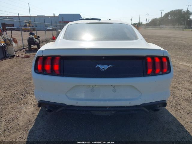 Ford Mustang Ecoboost Image 12