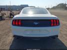 Ford Mustang Ecoboost Image 12