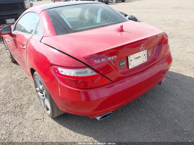 Mercedes-Benz Slk-class Image 5