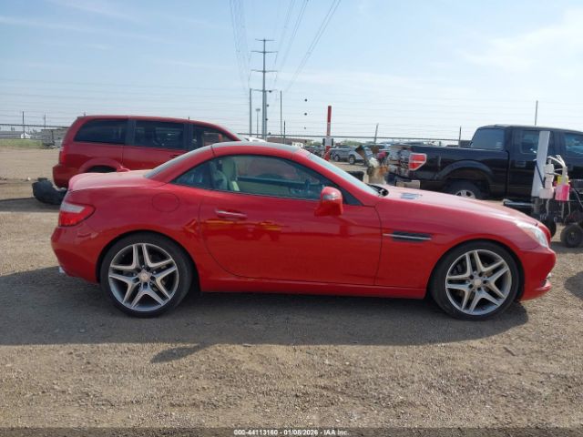 Mercedes-Benz Slk-class Image 12